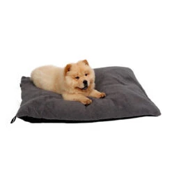 51 Degrees North Sheep Hundekissen -Zoofachgeschäft 51 degrees north sheep hondenkussen 141479 0500 none