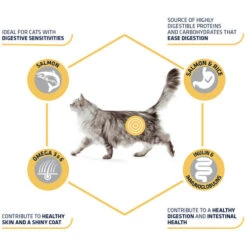 Affinity Advance Adult Salmon Sensitive - Katze -Zoofachgeschäft affinity advance adult salmon sensitive kat 178666 0500 none