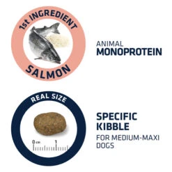 Affinity Advance Sensitive Medium-Maxi Lachs & Reis - Hund -Zoofachgeschäft affinity advance sensitive medium maxi zalm en rijst hond 177949 0500 none