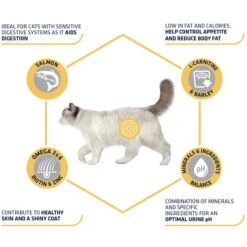 Affinity Advance Sterilized Salmon Sensitive - Katze -Zoofachgeschäft affinity advance sterilized salmon sensitive kat 178282 0500 none