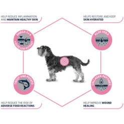 Affinity Advance Veterinary Diets Atopic Mini Hund -Zoofachgeschäft affinity advance veterinary diets atopic mini hond 177538 0500 none