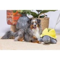 Beeztees Hide And Seek Schildo 8 Beeztees Hide And Seek Schildo -Zoofachgeschäft beeztees hide and seek schildo 221787 0500 none