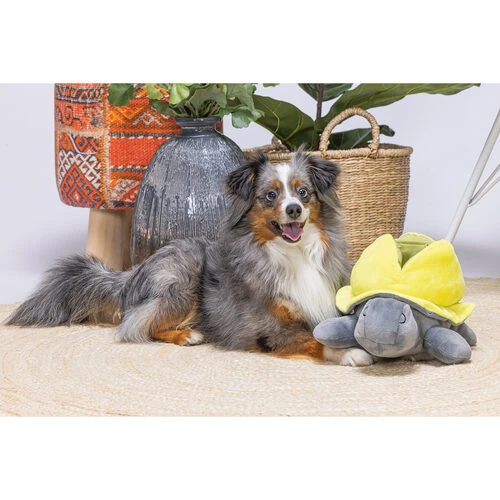 Beeztees Hide And Seek Schildo 5 Beeztees Hide And Seek Schildo – Bild 3