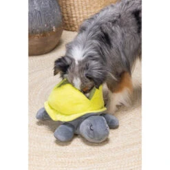 Beeztees Hide And Seek Schildo 9 Beeztees Hide And Seek Schildo -Zoofachgeschäft beeztees hide and seek schildo 221788 0500 none