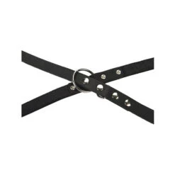 Beeztees Hundeleine Leder -Zoofachgeschäft beeztees hondenriem leer 199292 0500 none