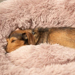 Beeztees Yali Plüsch-Donut-Bett - Grau -Zoofachgeschäft beeztees yali pluche donutmand 216351 0500 none