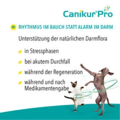 Canikur® Pro Diät-Ergänzungsfuttermittel Für Hunde -Zoofachgeschäft canikur pro 213692 0500 none