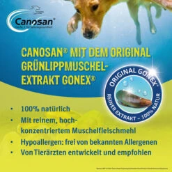 Canosan® Kautabletten Für Hunde -Zoofachgeschäft canosan kauwtabletten voor hond 213638 0500 none