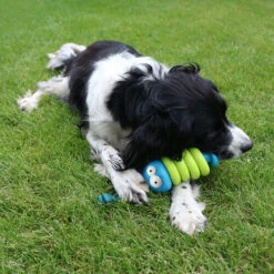 Coockoo Larry 13 Coockoo Larry -Zoofachgeschäft coockoo larry 216712 0500 none