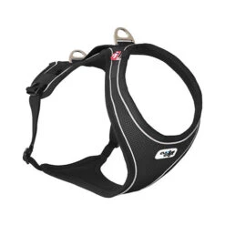 Curli Belka Comfort Harness -Zoofachgeschäft curli belka comfort harness 136345 0500 none