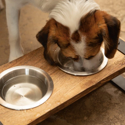 Designed By Lotte Holz-Dinerset Karinto 6 Designed By Lotte Holz-Dinerset Karinto – Bild 4