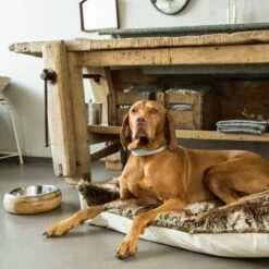 Designed By Lotte Futter- Und Trinknapf Mandira Aus Holz -Zoofachgeschäft designed by lotte houten eet en drinkbak mandira 170026 0500 none