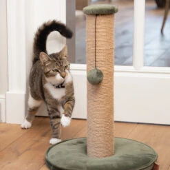 Designed By Lotte Kratzbaum Yenna 14 Designed By Lotte Kratzbaum Yenna -Zoofachgeschäft designed by lotte krabpaal yenna 164437 0500 none