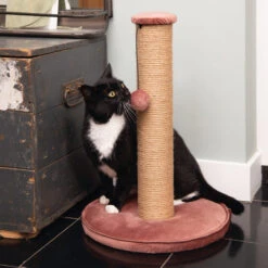 Designed By Lotte Kratzbaum Yenna 15 Designed By Lotte Kratzbaum Yenna -Zoofachgeschäft designed by lotte krabpaal yenna 164443 0500 none