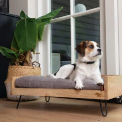 Designed By Lotte Hundebett Turana -Zoofachgeschäft designed by lotte ligmand turana 170032 0500 none