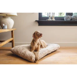 Designed By Lotte Xanti Hundekissen -Zoofachgeschäft designed by lotte xanti hondenkussen 188124 0500 none