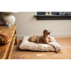 Designed By Lotte Xanti Hundekissen -Zoofachgeschäft designed by lotte xanti hondenkussen 188127 0500 none