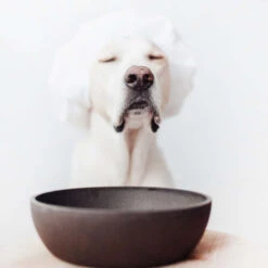 District 70 Bamboo Hundenapf 10 District 70 Bamboo Hundenapf -Zoofachgeschäft district 70 bamboo voerbak voor honden 207695 0500 none