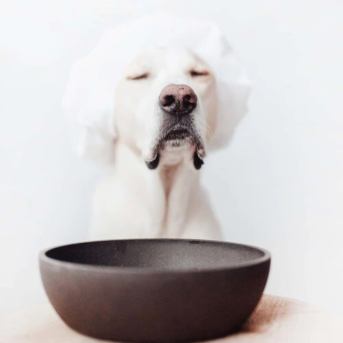 District 70 Bamboo Hundenapf 4 District 70 Bamboo Hundenapf – Bild 2