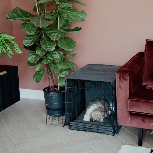 District 70 Crate Cover 7 District 70 Crate Cover – Bild 5