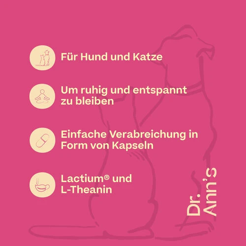 Dr. Ann's Stress Reduction 4 Dr. Ann's Stress Reduction – Bild 2