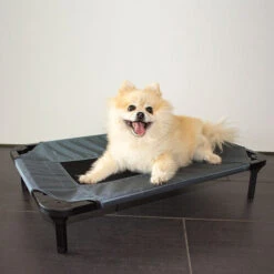 Duvo+ Hundeliege Relax 9 Duvo+ Hundeliege Relax -Zoofachgeschäft duvo hondenstretcher relax 199796 0500 none