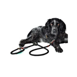 DWAM Hundeleine Long John 5 DWAM Hundeleine Long John -Zoofachgeschäft dwam hondenriem long john 166357 0500 none