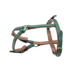 DWAM Hundegschirr Ivy 8 DWAM Hundegschirr Ivy -Zoofachgeschäft dwam hondentuigje ivy 182737 0500 none