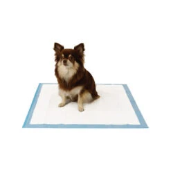 Easypets Trainingpads 9 Easypets Trainingpads -Zoofachgeschäft easypets trainingspads 184186 0500 none