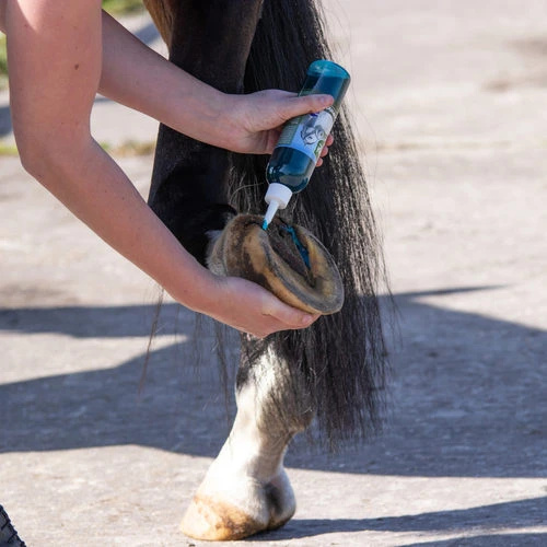 Equi Protecta Blue Wonder Gel 4 Equi Protecta Blue Wonder Gel – Bild 2