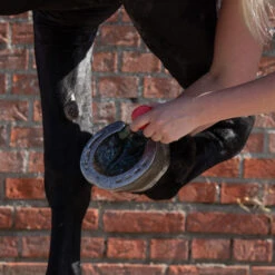 Equi Protecta Blue Wonder Gel 7 Equi Protecta Blue Wonder Gel -Zoofachgeschäft equi protecta blue wonder gel 161240 0500 none