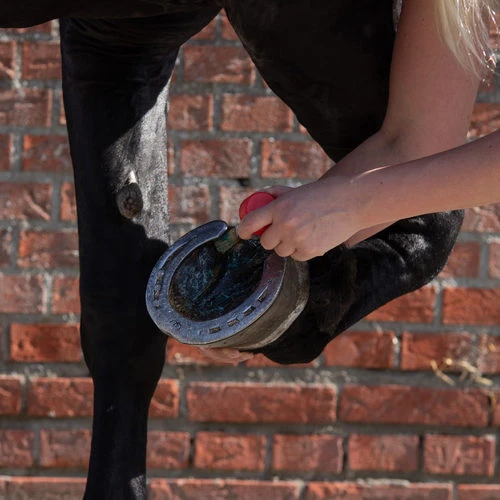 Equi Protecta Blue Wonder Gel 5 Equi Protecta Blue Wonder Gel – Bild 3