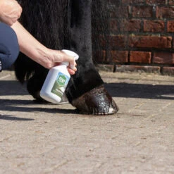 Equi Protecta Huf-Spray -Zoofachgeschäft equi protecta hoevenspray 161270 0500 none
