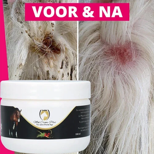 Excellent Mokcrème Plus (Maukesalbe) 4 Excellent Mokcrème Plus (Maukesalbe) – Bild 2