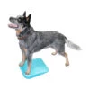 FitPAWS Balance Ramp -Zoofachgeschäft fitpaws balance ramp 176140 0500 none