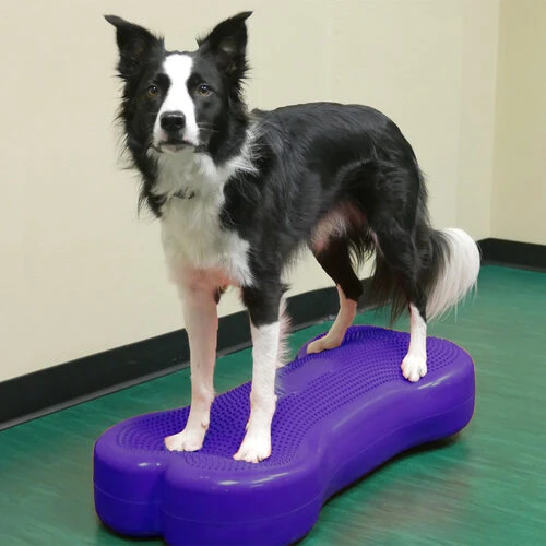 FitPAWS K9FITbone Giant 3 FitPAWS K9FITbone Giant