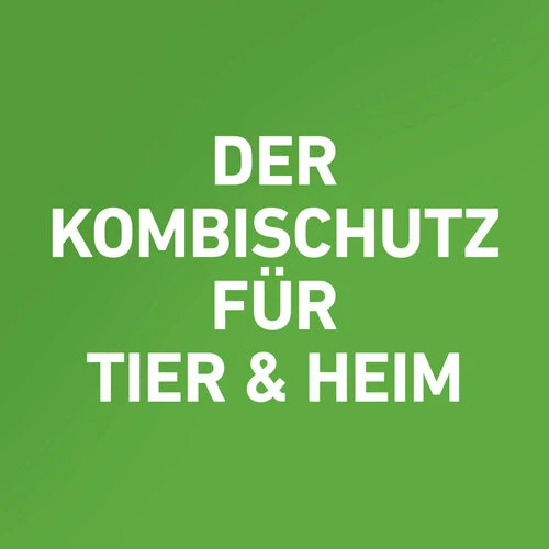 Frontline Combo Gegen Zecken, Flöhe (Flöhe, Eier, Larven, Puppen) Bei Hunden 18 Frontline Combo Gegen Zecken, Flöhe (Flöhe, Eier, Larven, Puppen) Bei Hunden – Bild 16