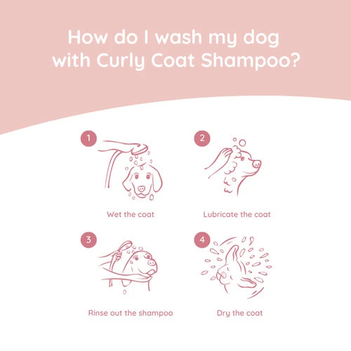 Greenfields Labradoodle Care Set 5 Greenfields Labradoodle Care Set – Bild 3