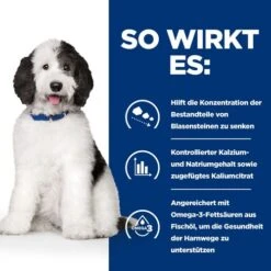 Hill's C/d Urinary Care - Prescription Diet - Canine -Zoofachgeschäft hills cd urinary care prescription diet canine 217893 0500 none