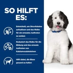 Hill's C/d Urinary Care - Prescription Diet - Canine -Zoofachgeschäft hills cd urinary care prescription diet canine 217894 0500 none
