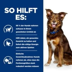 Hill's Metabolic Weight Management - Prescription Diet - Canine -Zoofachgeschäft hills metabolic weight management prescription diet canine 217871 0500 none