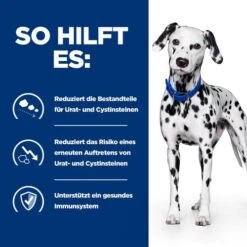 Hill's U/d - Urinary Care - Prescription Diet - Canine 13 Hill's U/d - Urinary Care - Prescription Diet - Canine -Zoofachgeschäft hills ud urinary care prescription diet canine 218169 0500 none