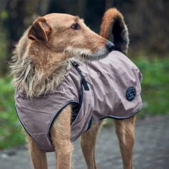 Hunter Hundemantel Uppsala -Zoofachgeschäft hunter hondemantel uppsala taupe 165685 0500 none
