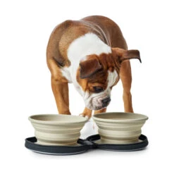 Hunter Silikon-Reisenäpfe In Tasche -Zoofachgeschäft hunter siliconen reiskommen in tasje 175747 0500 none