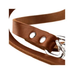 Hunter Trainingsleine - Braun 9 Hunter Trainingsleine - Braun -Zoofachgeschäft hunter trainingsriem bruin 175345 0500 none