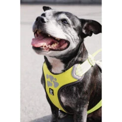 Hurtta Weekend Warrior Geschirr -Zoofachgeschäft hurtta weekend warrior harness 189093 0500 none