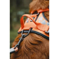 Hurtta Weekend Warrior Geschirr -Zoofachgeschäft hurtta weekend warrior harness 189096 0500 none