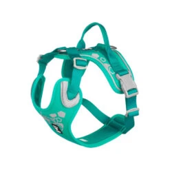 Hurtta Weekend Warrior Geschirr -Zoofachgeschäft hurtta weekend warrior harness 203807 0500 none