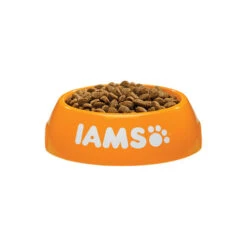 IAMS For Vitality Dog Puppy & Junior - Small & Medium 6 IAMS For Vitality Dog Puppy & Junior - Small & Medium -Zoofachgeschäft iams dog puppy junior small medium 133682 0500 none