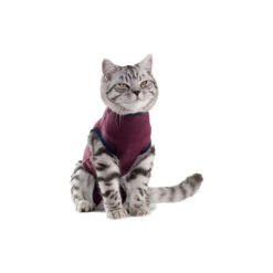 Jacketz Medical Body Suit Für Katzen -Zoofachgeschäft jacketz medical body suit kat 154129 0500 none